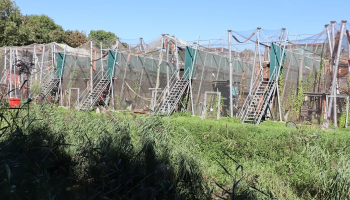 Hoe weet je of een dierenverblijf écht sterk genoeg is?